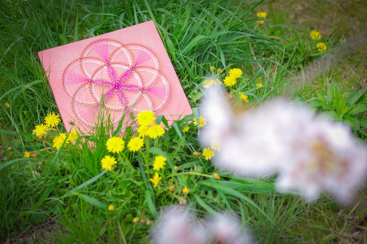 氣を封入した糸かけアート 【虹の銀河】 れいめいダイナソー🦕 レース糸ver. このレース糸はウール100